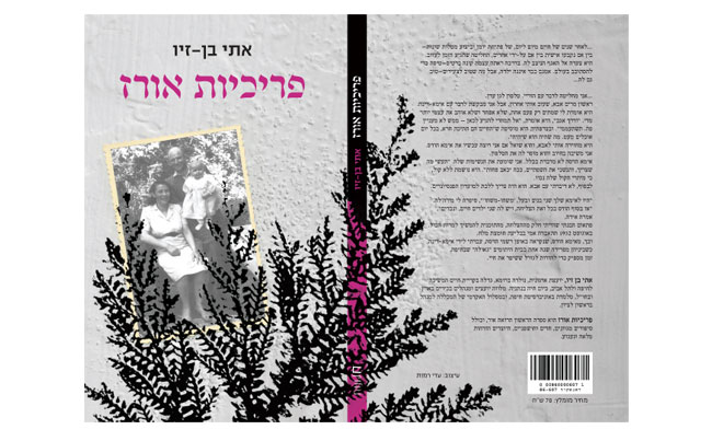 פריכיות אורז