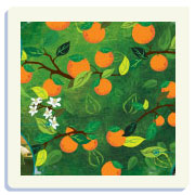 מהפרדס אל כוס השתייה