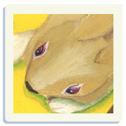 איור לספר ילדים