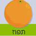 פוזי תפוזי - מהפרדס לכוס השתיה שלי